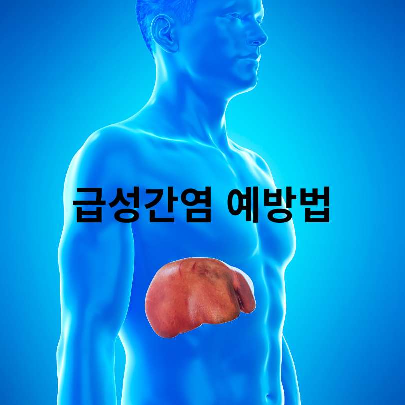 급성간염 증상·원인·치료 총정리 (군 면제 정보 포함)