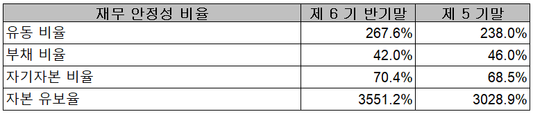 이녹스첨단소재 - 재무 안정성 비율