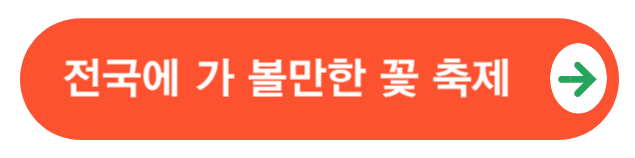 꽃축제알아보기