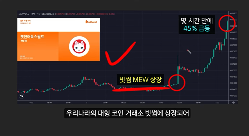 베이비 도지 코인의 급등 이유와 일론 머스크의 영향 ❘ 밈 코인 시장 전망