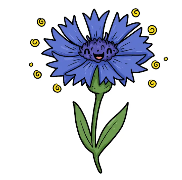 수레국화-개화시기-언제