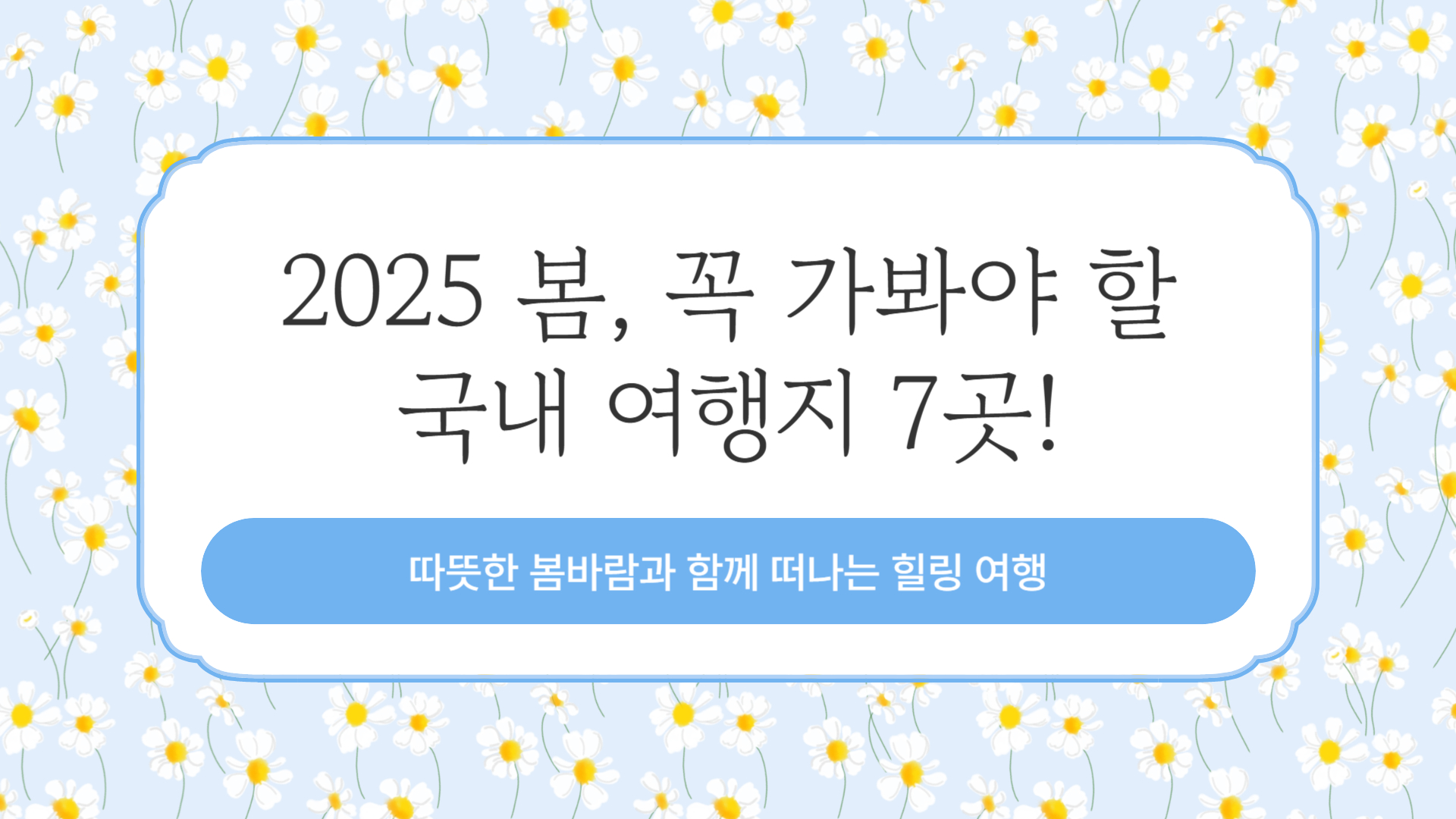 2025 봄, 꼭 가봐야 할 국내 여행지 7곳!