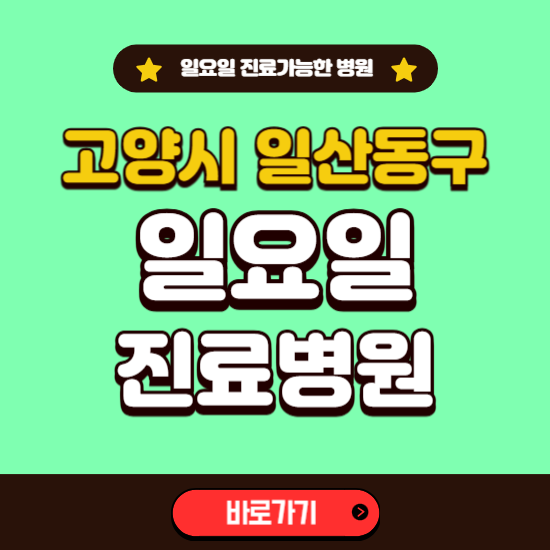 고양시 일산동구 일요일 진료 가능한 병원 ❘ 주말 문여는 곳 총정리 (소아과, 내과, 안과, 치과, 피부과, 정형외과, 산부인과)