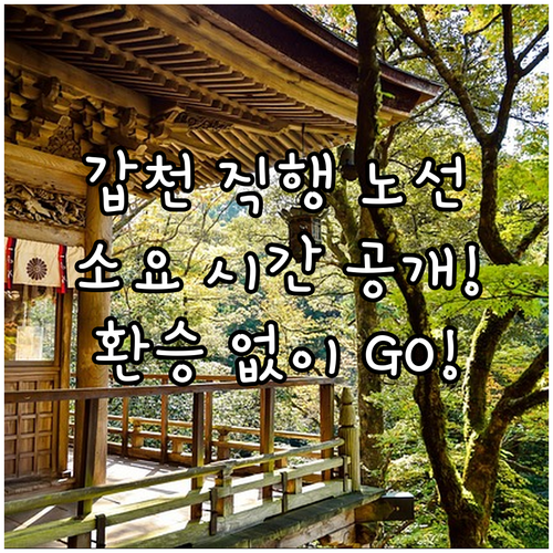환승 없는 갑천호수공원 직행 시내버스..