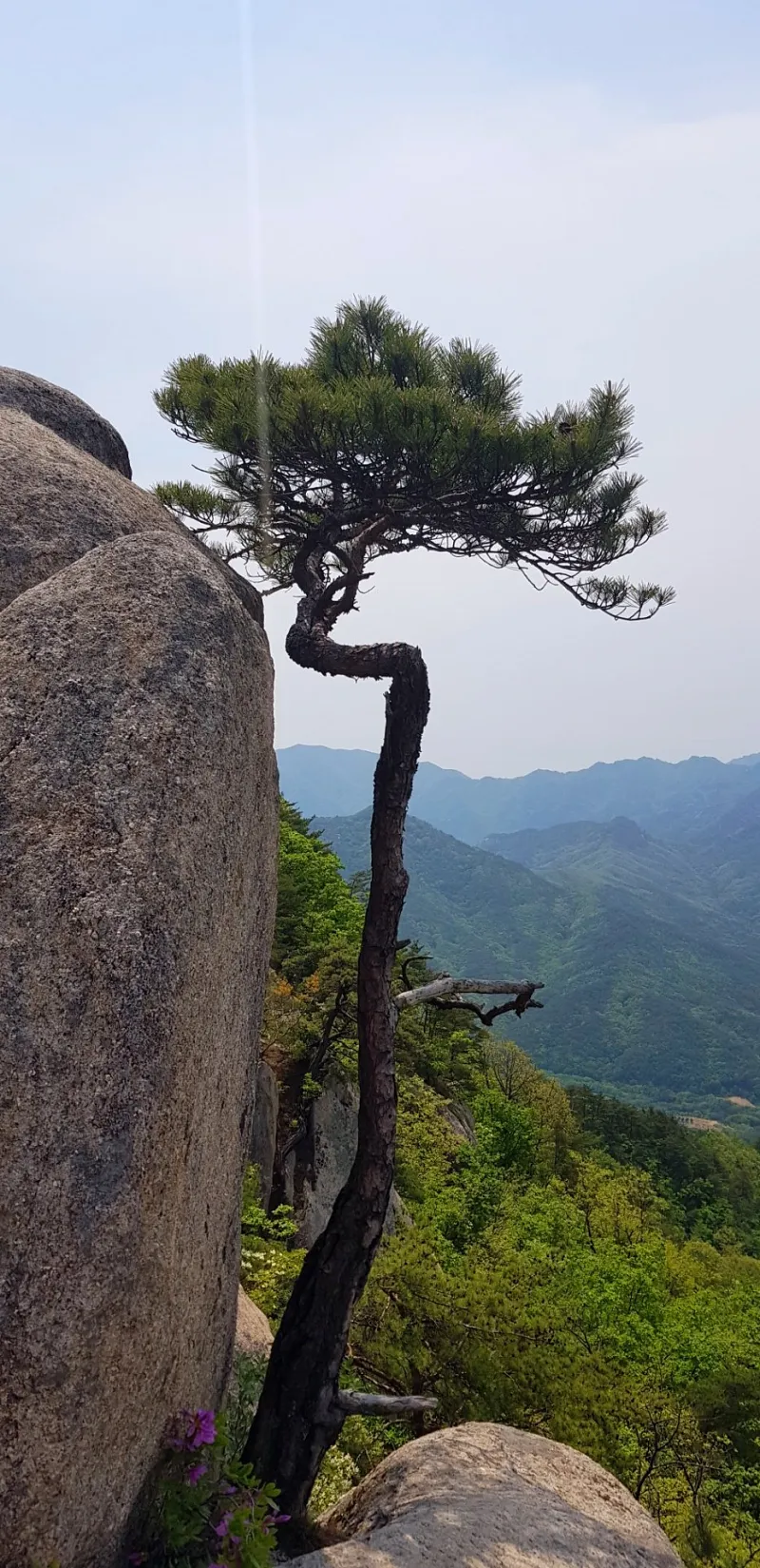 괴산 막장봉