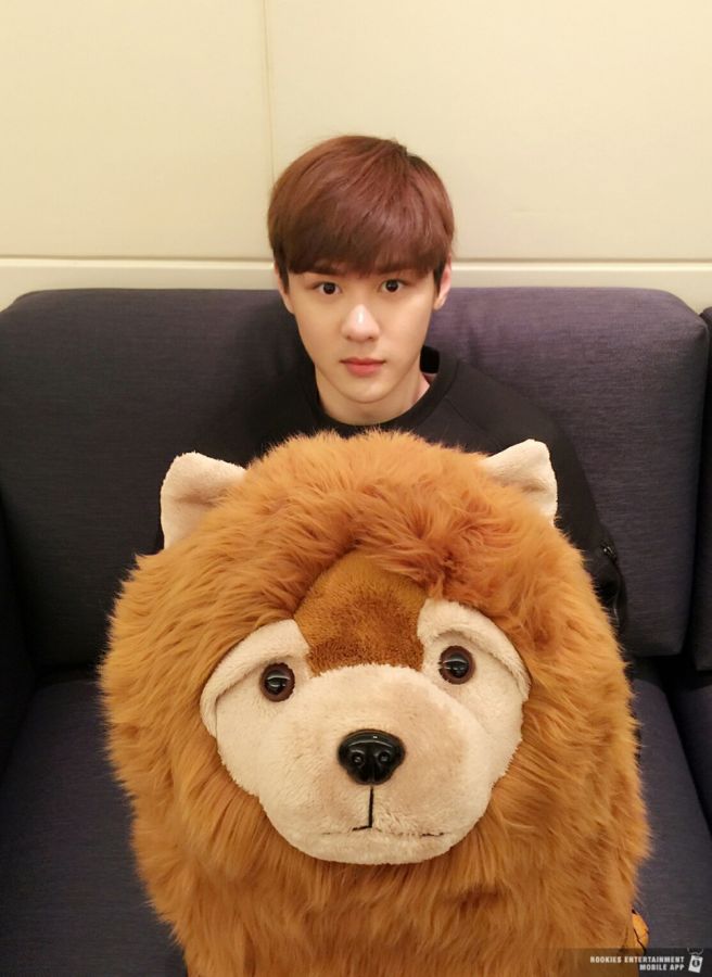 NCT Wayv 쿤 데뷔