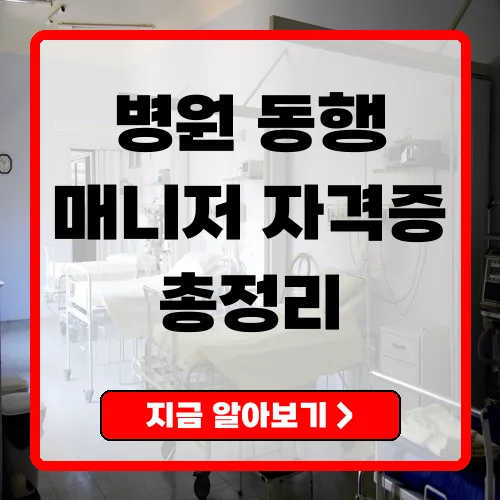 병원 동행 매니저