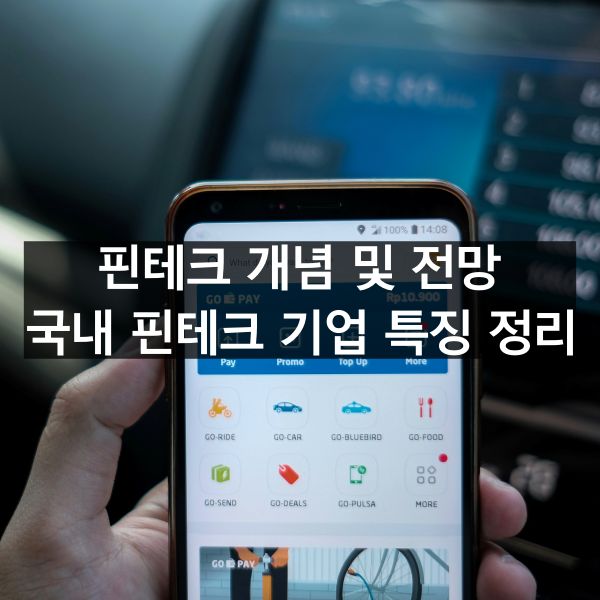 판테크 개념 및 전망 그리고 국내 핀테크 기업 특징