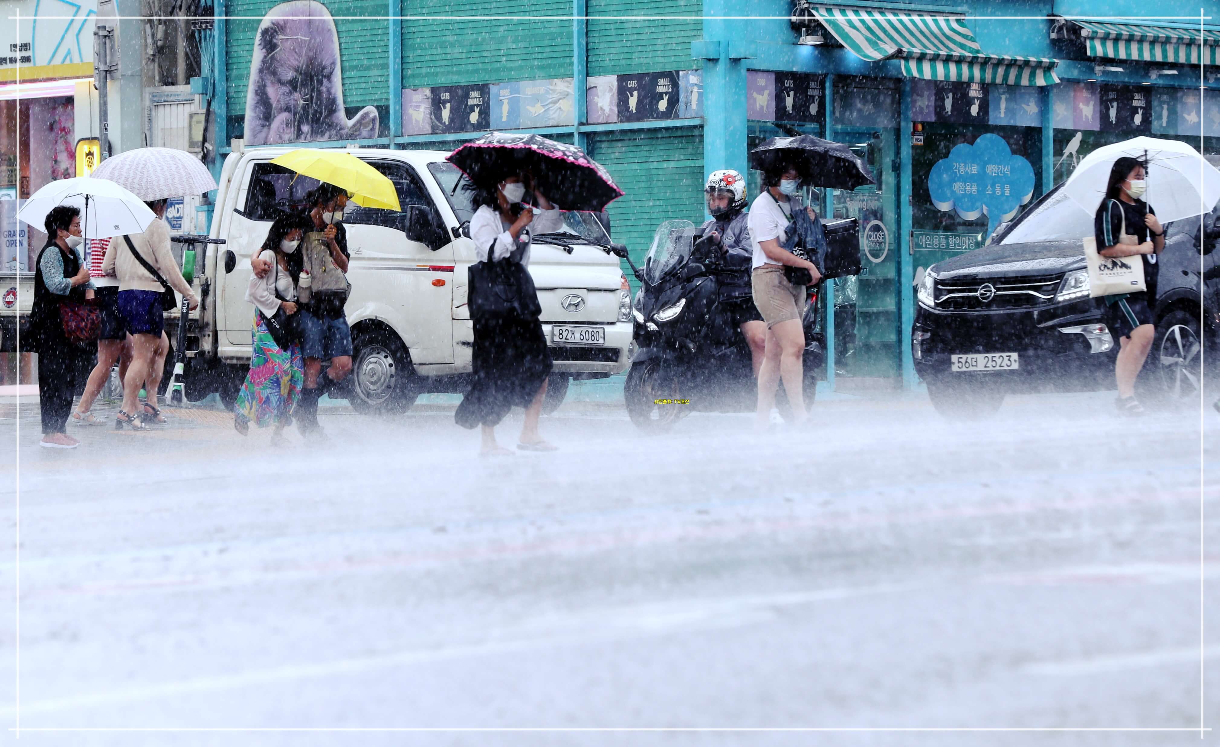 2023년 제주도 장마시기