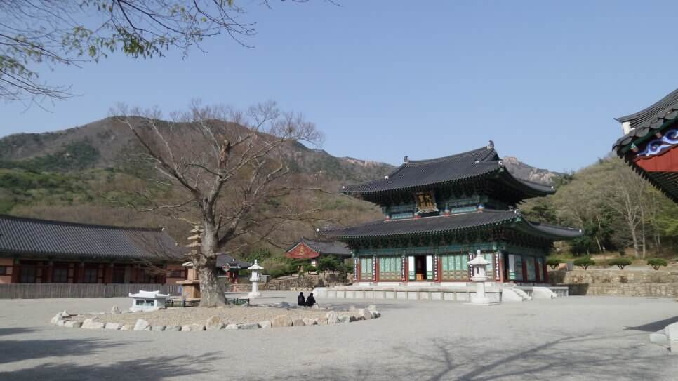 100대 명산 등산하기 서른번째 영암 월출산 기암괴석과 사계절 풍경이 빛나는 전남 명산