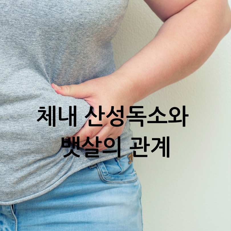 산성 독소가 노화와 체중에 끼치는 악영향