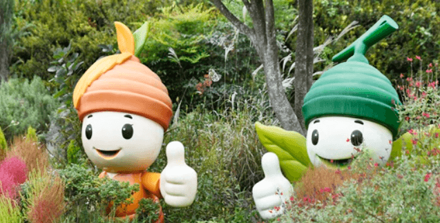 완도 숙박 신지면 명사십리 독채펜션 추천