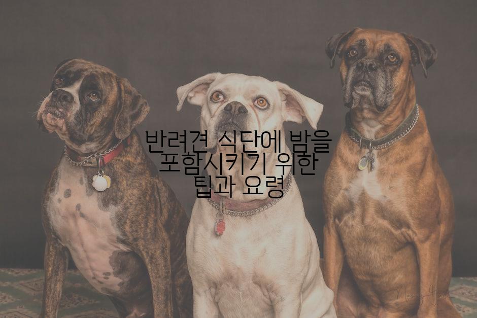 반려견 식단에 밤을 포함시키기 위한 팁과 요령