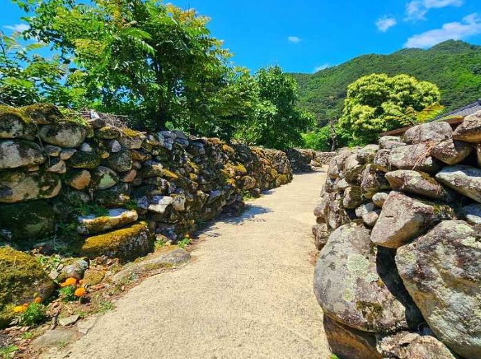 한밤마을 돌담길