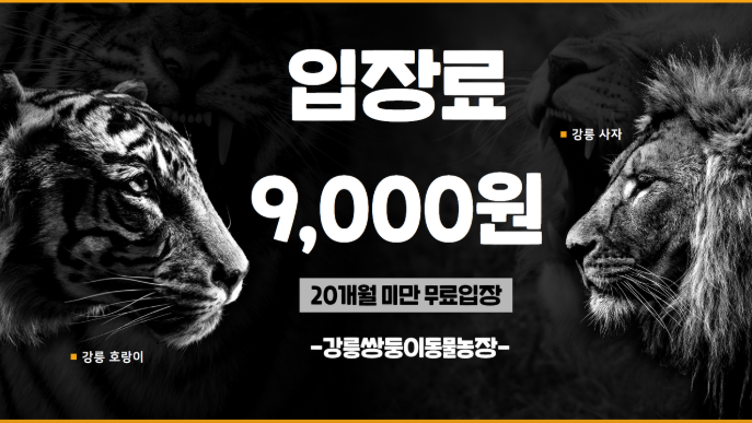 생방송투데이 동물농장 강릉