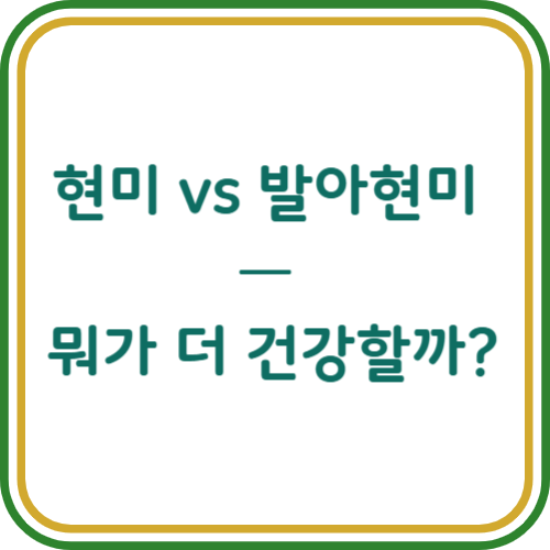 발아 현미 현미 차이