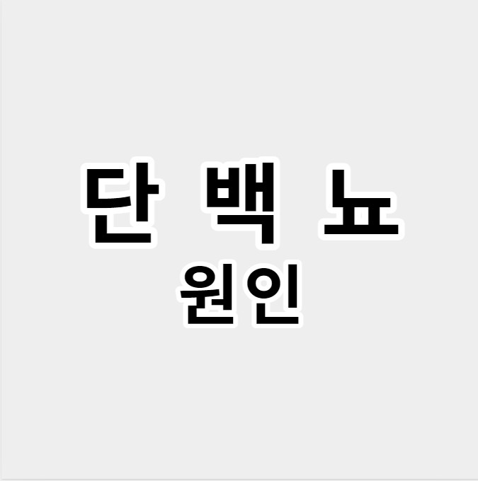 단백뇨원인