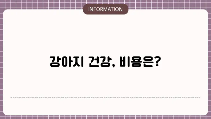 강아지 자궁축농증 수술 후 주의사항