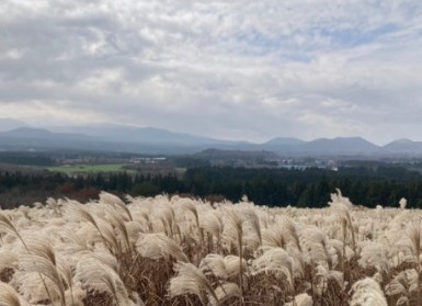 10월 제주도 가볼 만한 곳