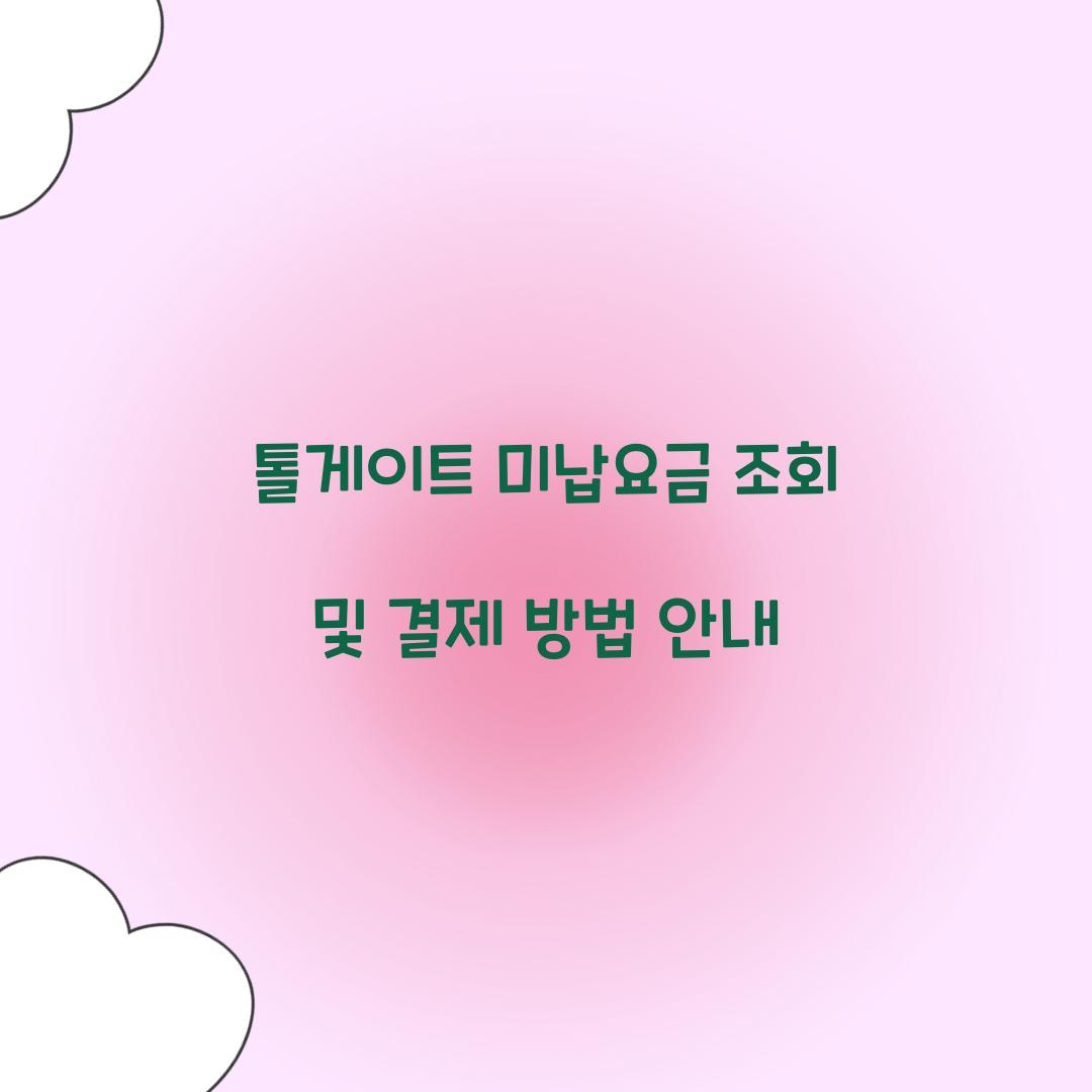 톨게이트 미납