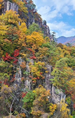 강원도 2025 단풍 산행 추천 코스 ❘ 설악산&middot;오대산&middot;치악산 절정 시기 안내