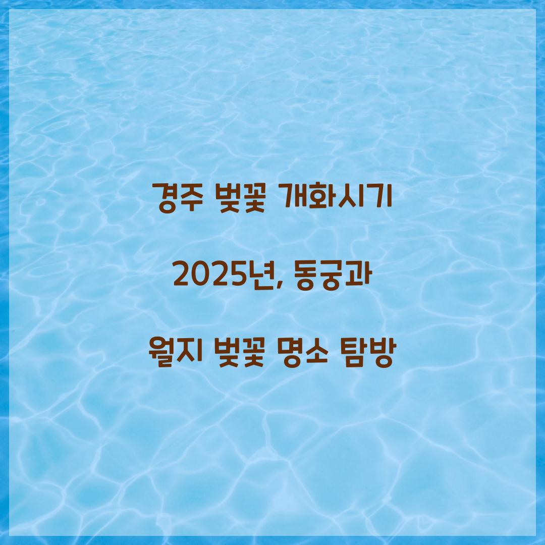 경주 벚꽃 개화시기 2025