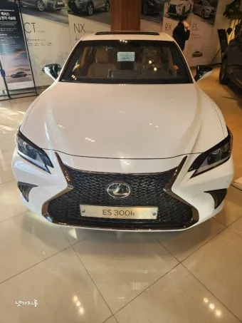 렉서스 ES 풀체인지 G80 비교 제원 비교표_8