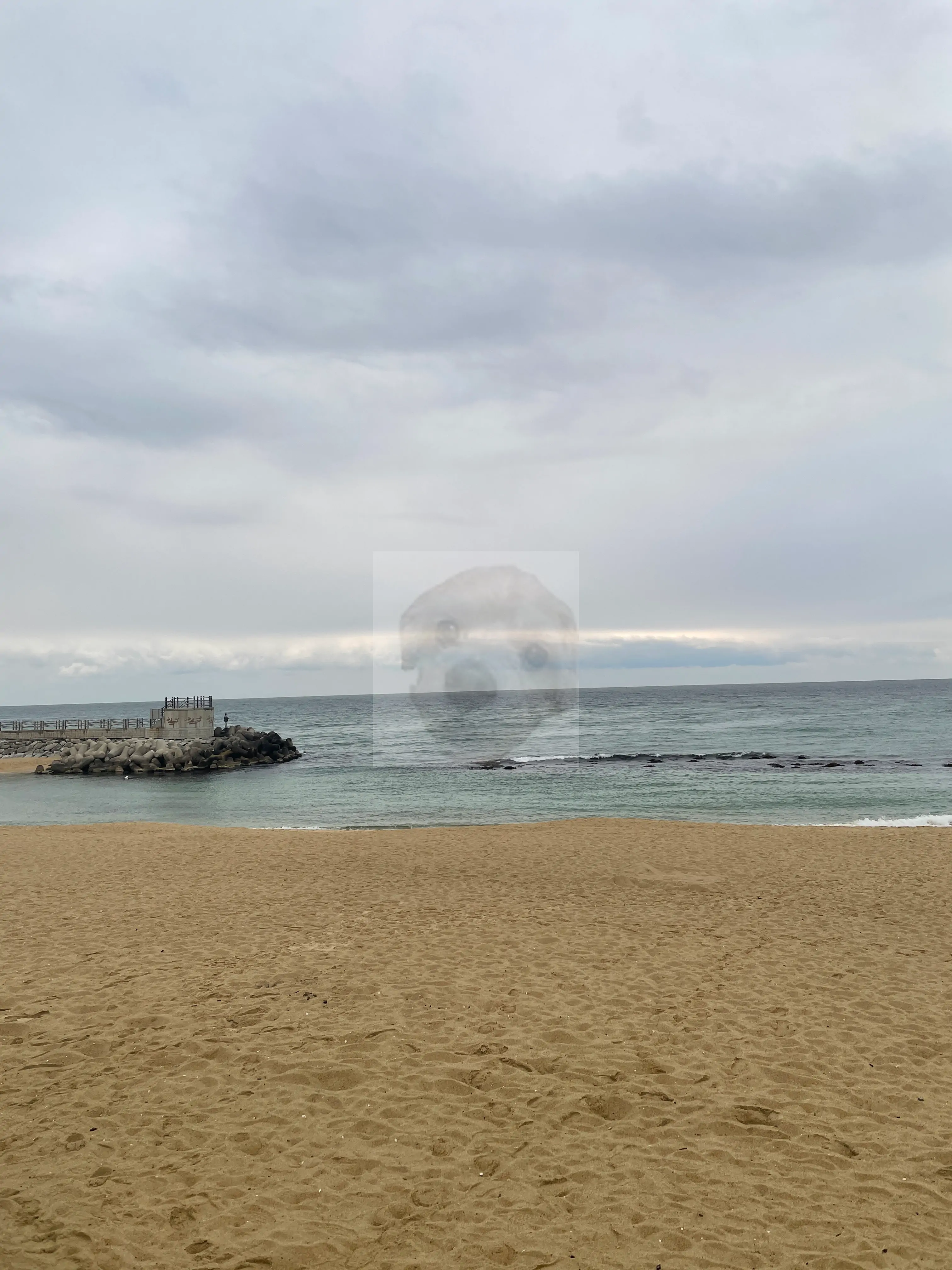 강릉 바다 사진