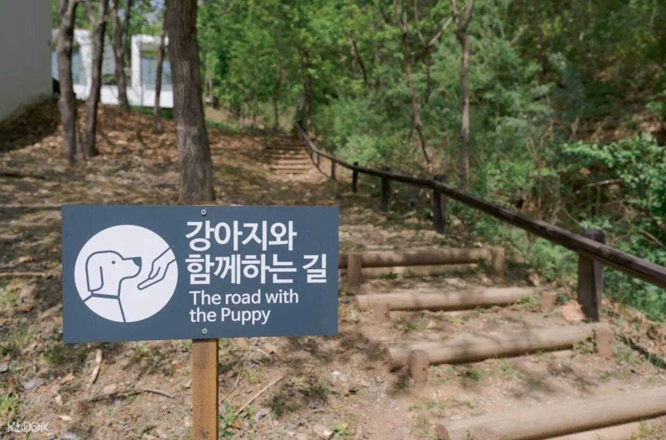 반려견과 함께 걷는 길