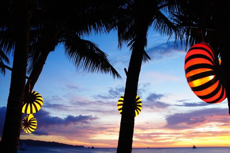 야자수 사이로 붉은 조명이 매달린 보라카이 저녁 풍경
보라카이 루프탑 바 분위기 야자수와 조명이 어우러진 해변 풍경