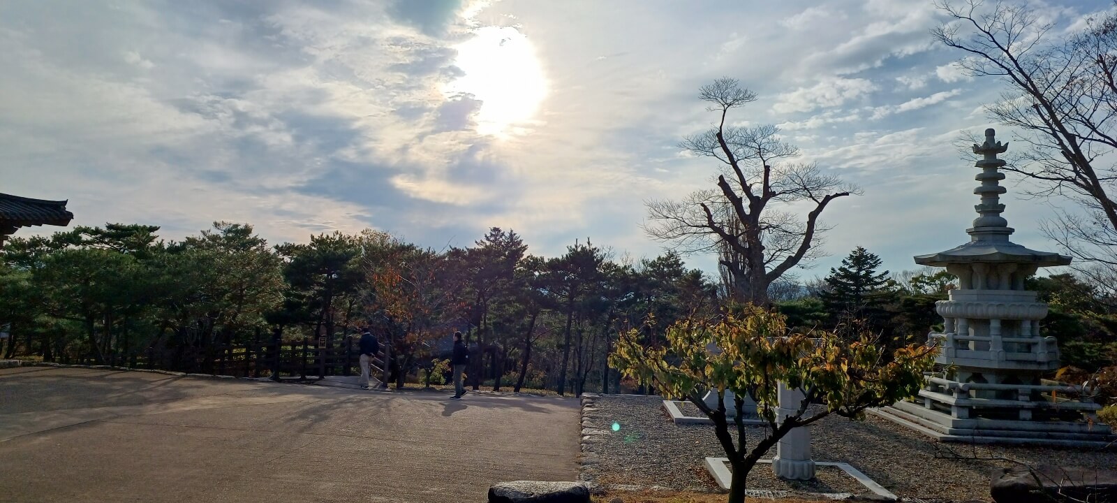 박물관
