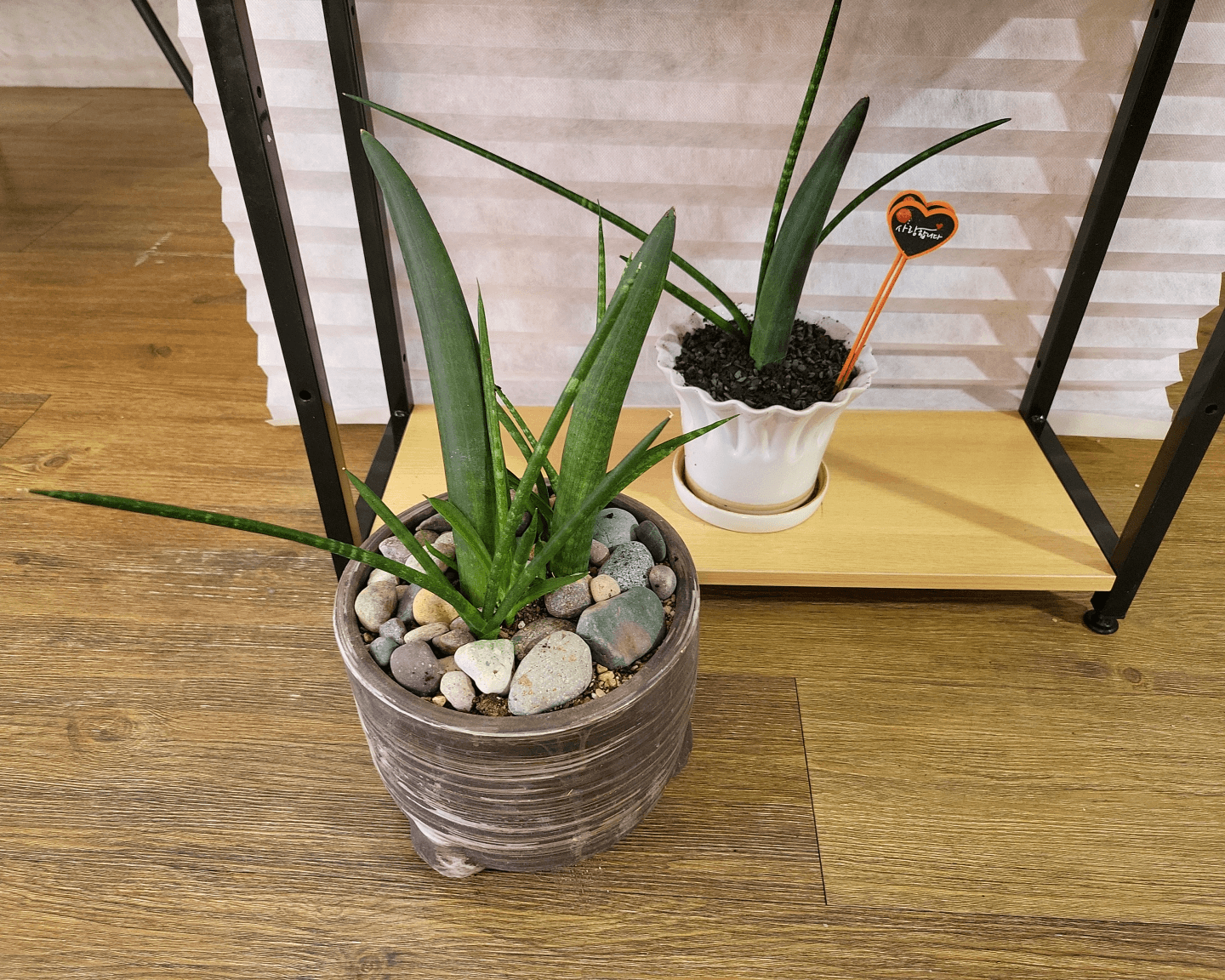 위에서 보기