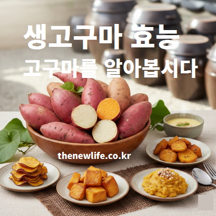 다양한 고구마 요리 소개와 생고구마 실사 구성