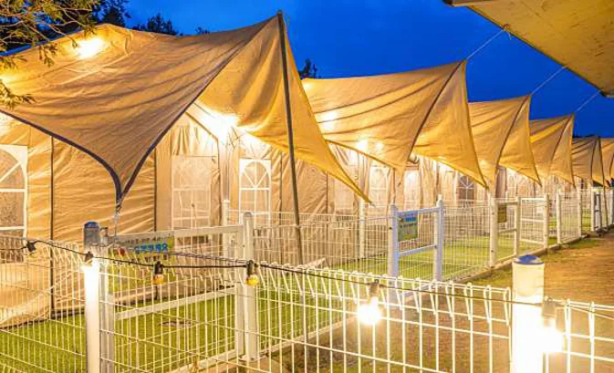 안면도 애견동반 바다비펜션