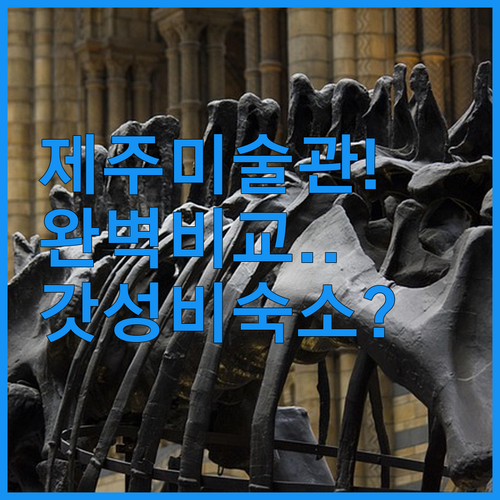 제주 김창열미술관 현대미술관 비교 분..