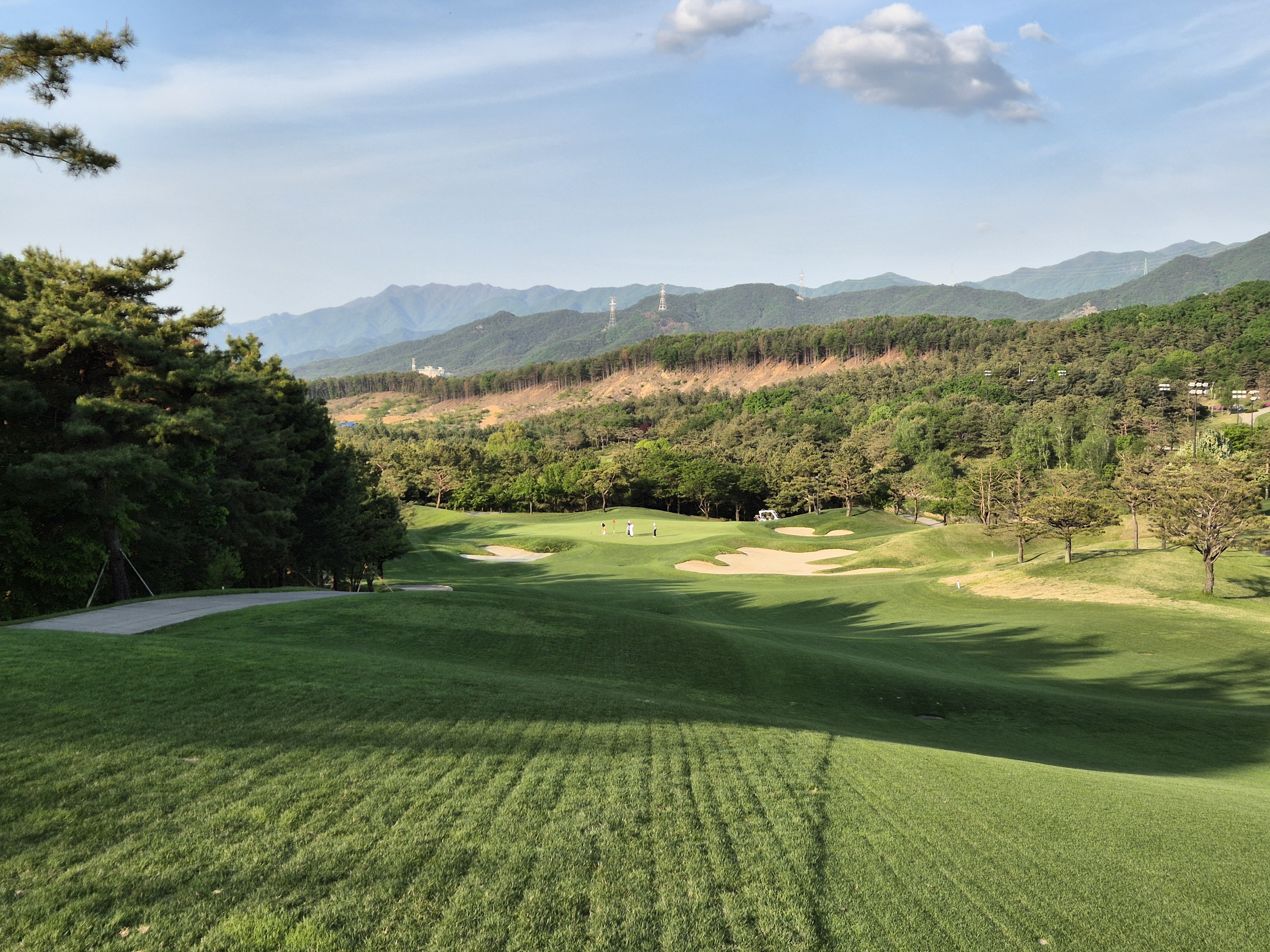 베어크리크cc 크리크코스