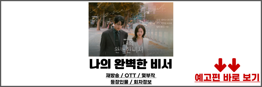 나의 완벽한 비서 재방송