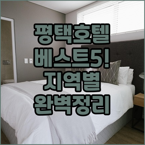 평택 호텔 베스트 5 평택역 고덕 송..