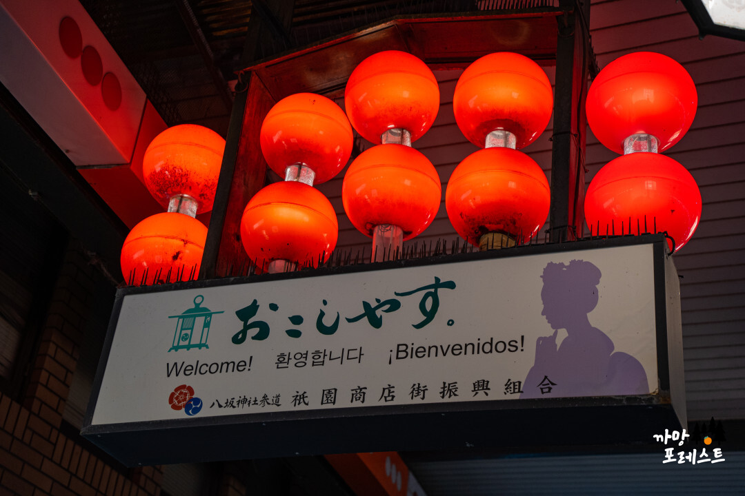 교토 야사카 신사 게이샤