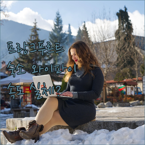 프랑크푸르트 홀리데이 인 숙소 와이파..
