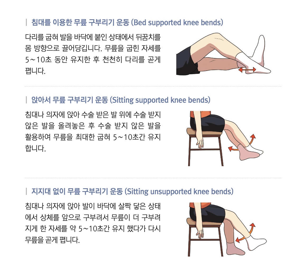 무릎-인공관절-재활치료