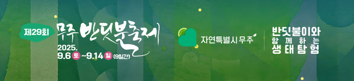무주반딧불축제 관람 관련 사진