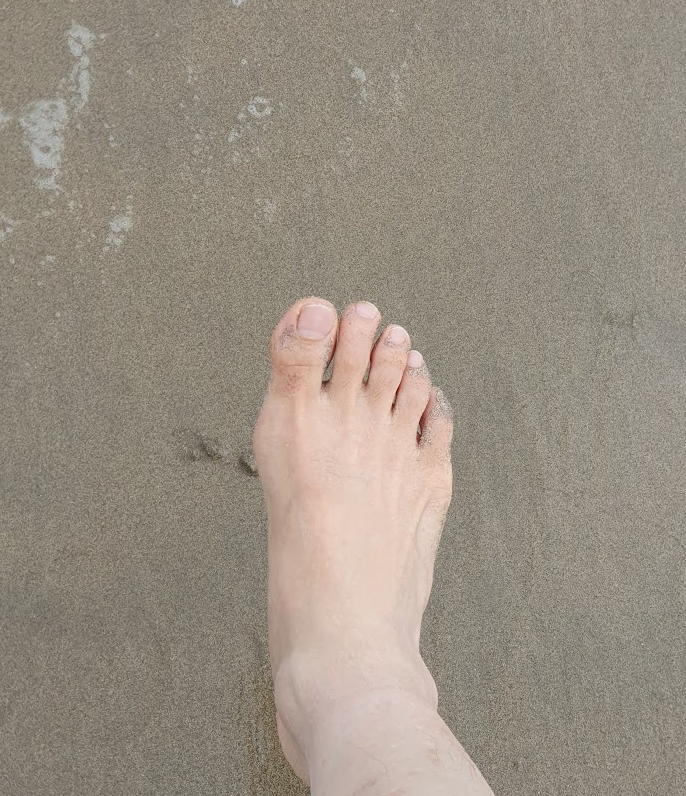 화성 시민 주목! 맨발로 힐링하기 좋은 화성시 명소 5곳