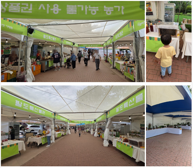 자라섬 (2025 꽃 페스타)