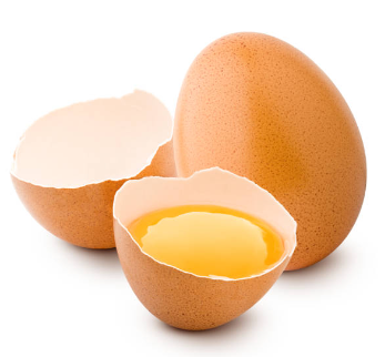 달걀