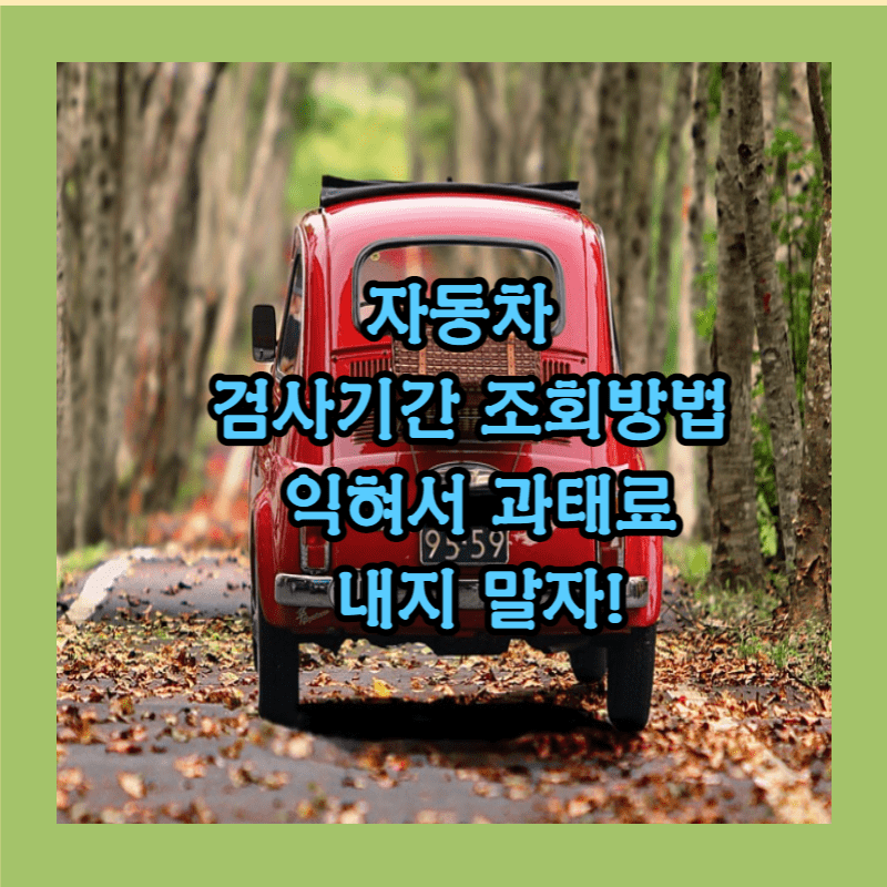 자동차 정기검사기간