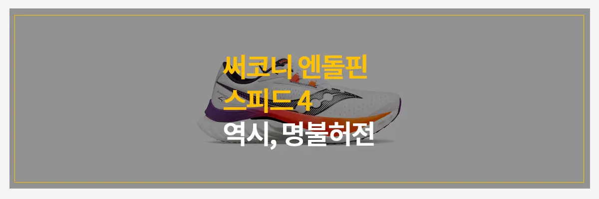 써코니-엔돌핀-스피드4
