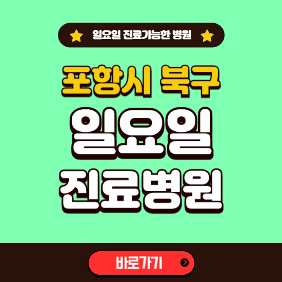 포항시 북구 일요일 진료 가능한 병원 ❘ 주말 문여는 곳 총정리 (소아과, 내과, 안과, 치과, 피부과, 정형외과, 산부인과)