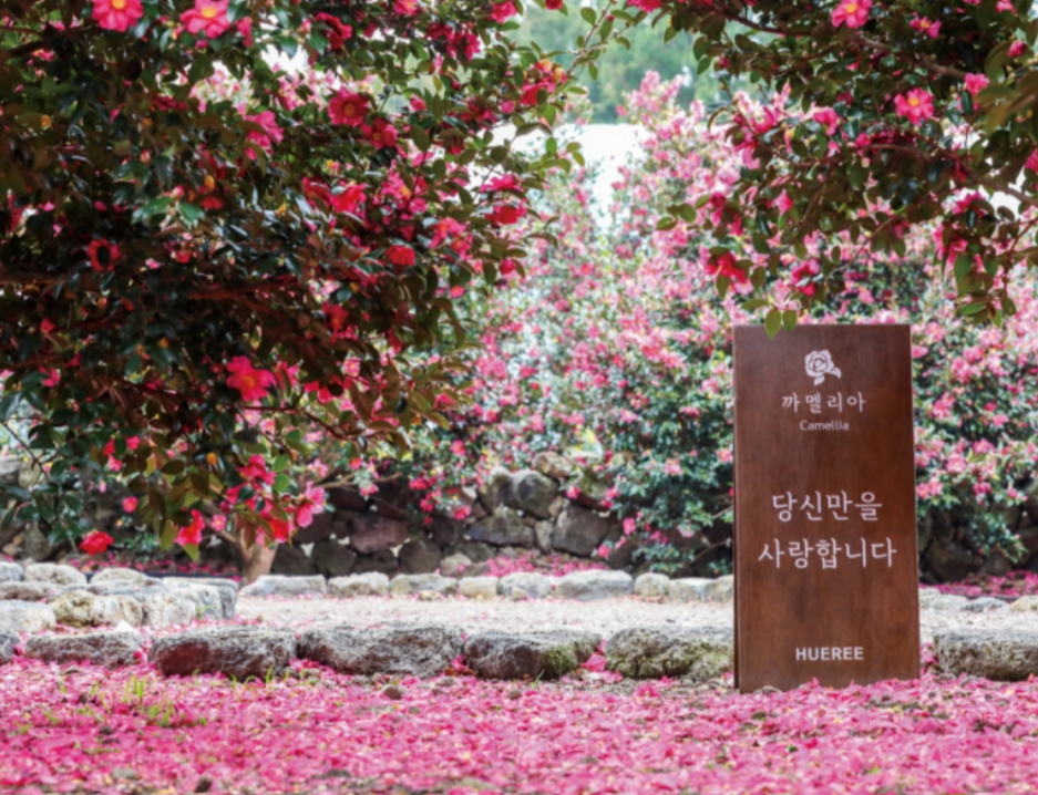 휴애리 동백축제