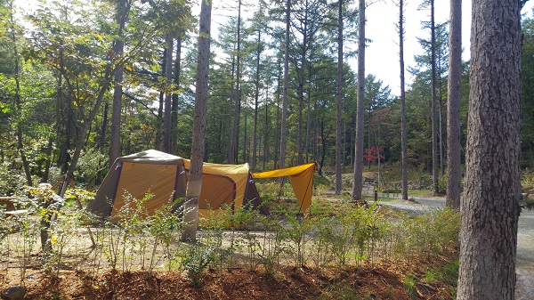 강원도 국립 화천숲속야영장 소개